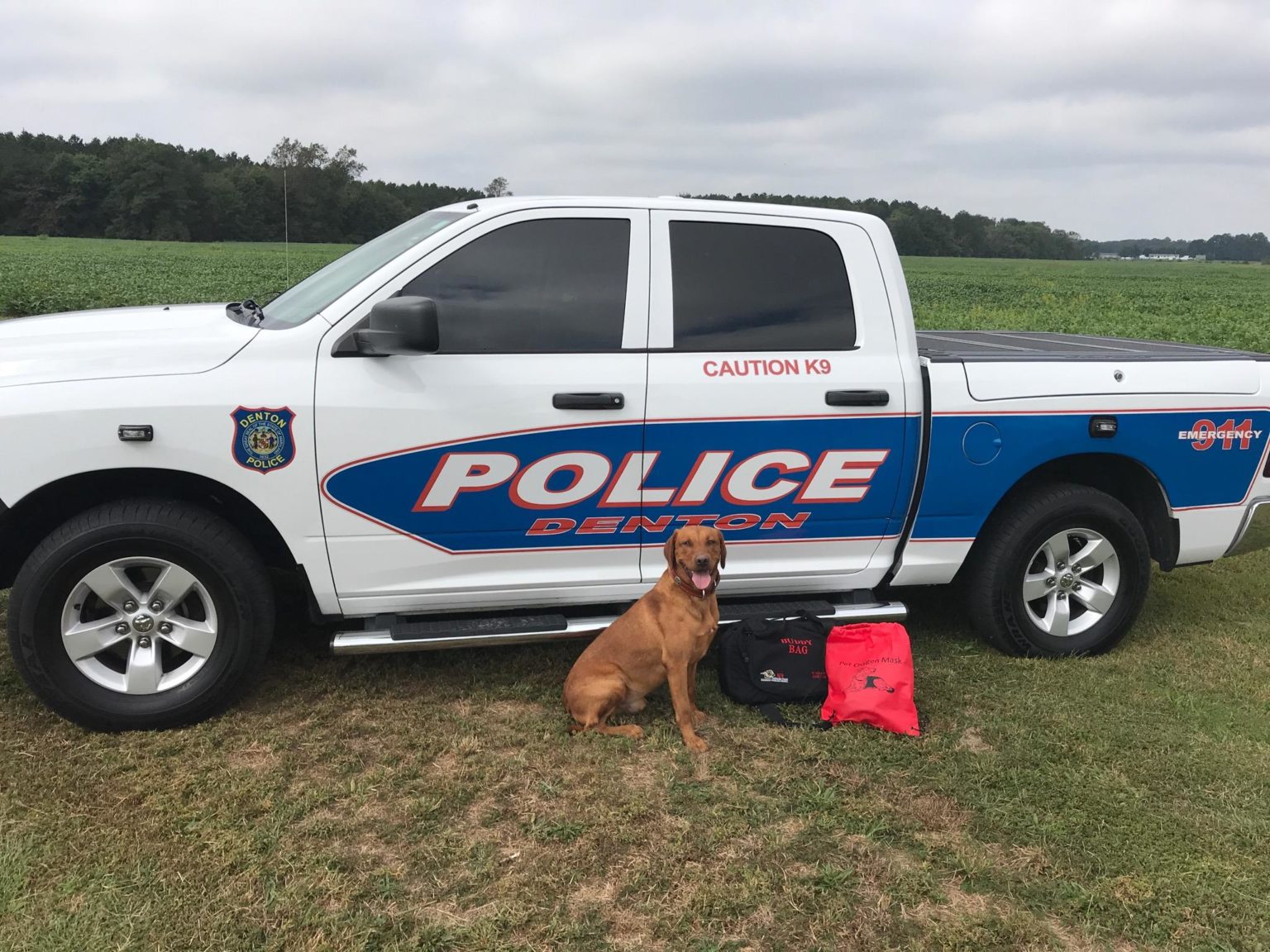 Town Of Denton Police Department